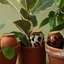 Load image into Gallery viewer, Box Trio Mini Ollas - de luipaarden