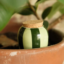Load image into Gallery viewer, Olla - Gestreept groen &amp; groen