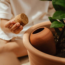 Load image into Gallery viewer, Olla van terracotta - natuurlijke plantenbewatering