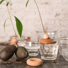 Afbeelding in Gallery-weergave laden, Pepin - Avocado Float x Gigi