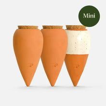 Load image into Gallery viewer, Doos Trio Mini Ollas - de Iconics