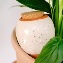 Load image into Gallery viewer, Olla wit met spikkels - natuurlijke plantenbewatering