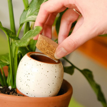 Load image into Gallery viewer, Olla wit met spikkels - natuurlijke plantenbewatering