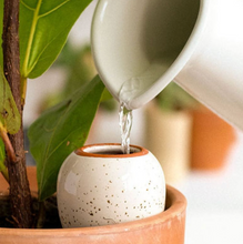 Load image into Gallery viewer, Olla wit met spikkels - natuurlijke plantenbewatering