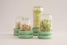 Load image into Gallery viewer, Sprout Huggers ® Sage groen