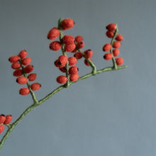 Afbeelding in Gallery-weergave laden, Tak bes rozenbottel