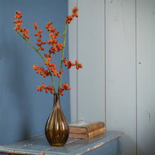 Afbeelding in Gallery-weergave laden, Tak bes rozenbottel