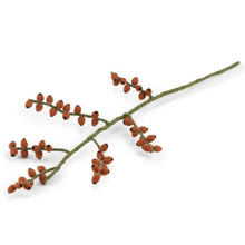 Afbeelding in Gallery-weergave laden, Tak bes rozenbottel