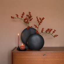 Afbeelding in Gallery-weergave laden, Tak bes rozenbottel