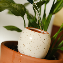 Load image into Gallery viewer, Doos Trio Mini Ollas - de Iconics