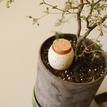 Load image into Gallery viewer, Doos Trio Mini Ollas - de Iconics