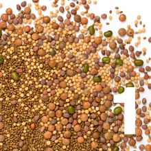 Load image into Gallery viewer, Sprout Huggers ® Sage groen