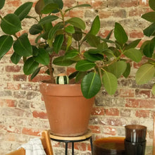 Load image into Gallery viewer, Olla - Gestreept groen &amp; groen