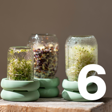 Load image into Gallery viewer, Sprout Huggers ® Sage groen