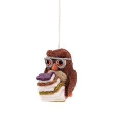 Afbeelding in Gallery-weergave laden, Hanger Uil met 3 boeken