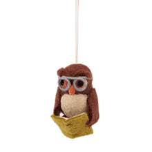 Afbeelding in Gallery-weergave laden, Hanger Uil met lichtgroen boek