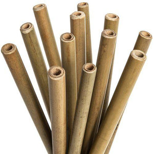 Bamboe rietjes - MIISHA Eco Shop